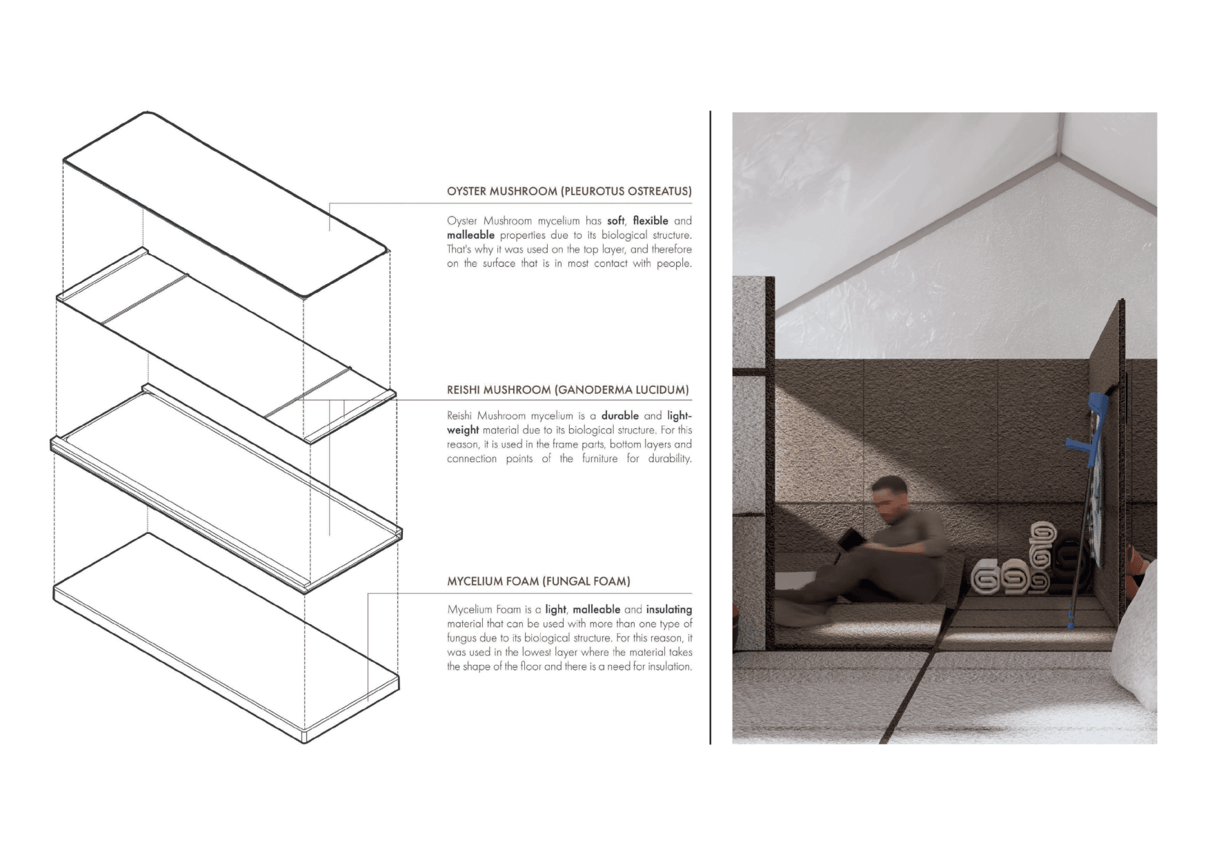 Mycel-SEP - Folio Page 4